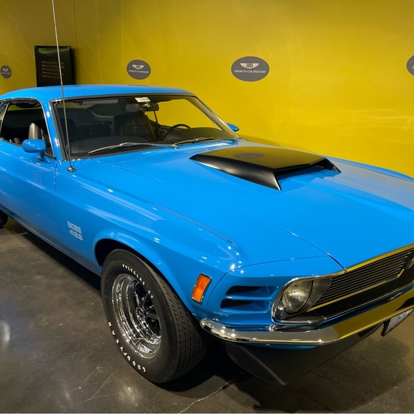 Forever Fern - Take a look at all the amazing items in this closet collection! - Picture 4 of 14